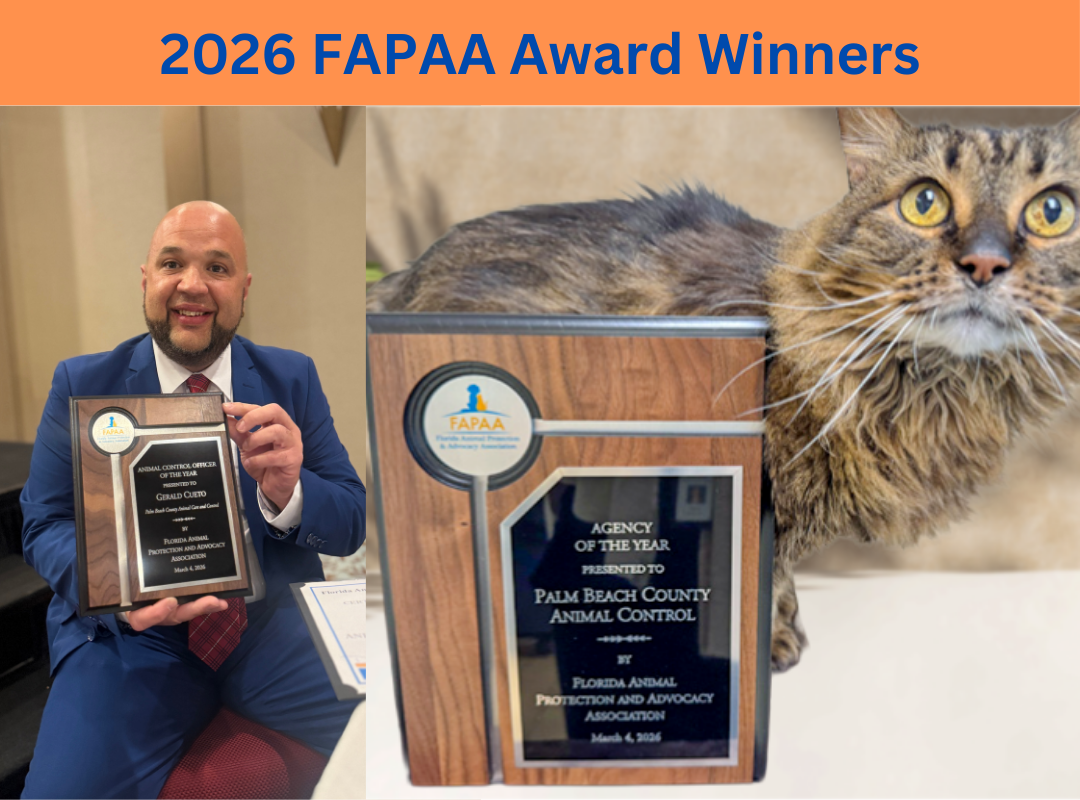 FAPAA Award Winners